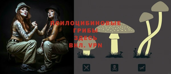 молекула духа Алексин